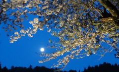 春夜　満月