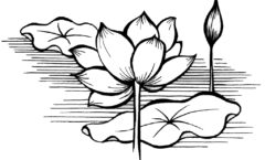 お盆の心